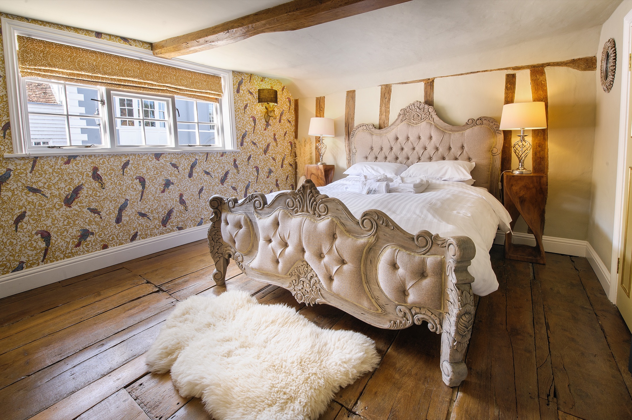 Birds Of Paradise at The Manor House, Saffron Walden